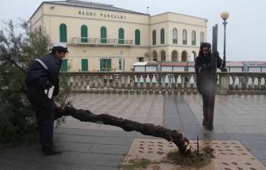 Albero cede sul viale Italia A destra una bimba sotto la pioggia allingresso dei bagni Tirreno sul lungomare e accanto il Nautico transennato 