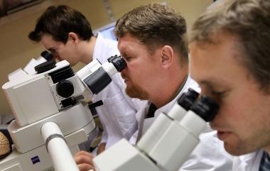La ricerca sullAlzheimer 