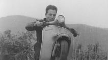 L'uomo che sussurrava alle Vespe