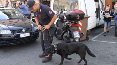 Droga e controlli, in via Terrazzini tornano i carabinieri