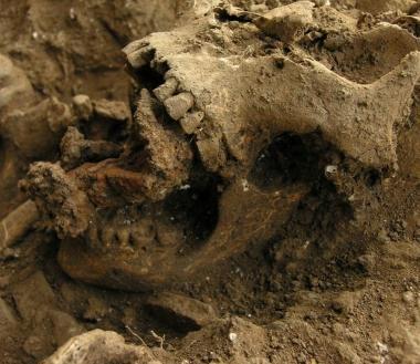 Il teschio della strega, in bocca i chiodi ricurvi (foto Universit&agrave; dellAquila) Forgione sulloriginario ingresso della chiesa del 1100 (a destra) 