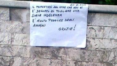 Per chi ha un cane e non pulisce...