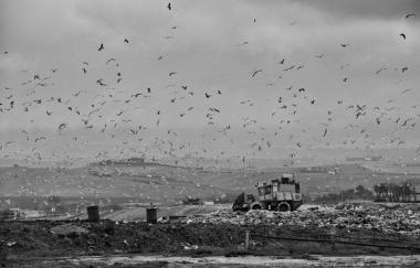 <b>PASSIONE ITALIA </b>Una foto di Daniele Meschini tra quelle in mostra da oggi in Sala Pegaso per La Citt&agrave; visibile 