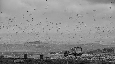 <b>PASSIONE ITALIA </b>Una foto di Daniele Meschini tra quelle in mostra da oggi in Sala Pegaso per La Città visibile
