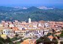 Cinghiali e caso Banfi in discussione in assemblea