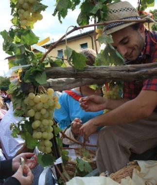 Festa delluva a Pozzale      
