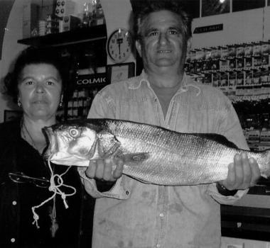 Una maxi-spigola pescata al Molo Novo