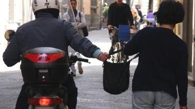 <b>FURTO.</b> Avvenuto nella pineta del Casserello