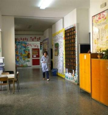 La scuola elementare Piaggia (Vip)   