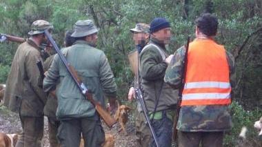 A sinistra due esemplari di cinghiale, sopra un gruppo di cacciatori durante una battuta