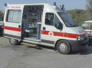 Shock anafilattico uccide anziana cercatrice di funghi