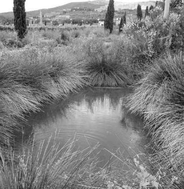 Il parco di Fossa Calda 