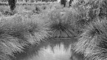 Il parco di Fossa Calda