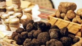 Tartufi in esposizione