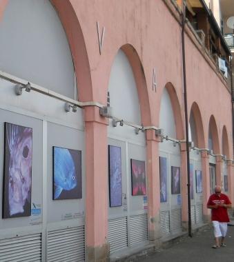 <b>ACQUARIO. </b>Lesterno dell impianto    
