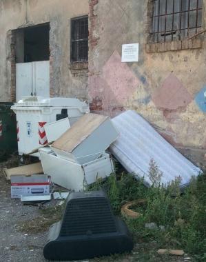 <b>RIFIUTI.</b> Abbandonati lungo la provinciale 