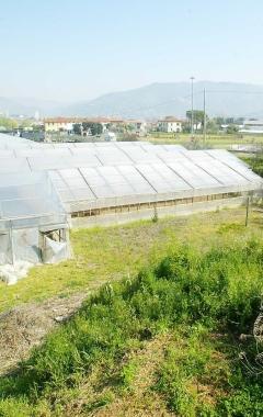 <strong>ESENZIONI.</strong> Corsa per mettere in regola i fabbricati agricoli