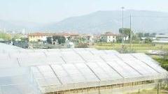 <strong>ESENZIONI.</strong> Corsa per mettere in regola i fabbricati agricoli