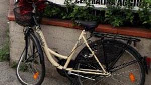Morta l'anziana investita sulla bici a Pietrasanta