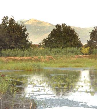Il parco della Querciola nei pressi del quale nascer&agrave; la cassa despansione 
