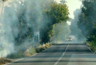Lincendio di agosto lungo la via Bientinese  
