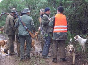 Mutila e acceca gli uccelli da richiamo, denunciato