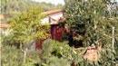 Svaligiata la villa del re delle porte