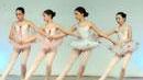 Dall'opera al balletto Il grande teatro al cinema