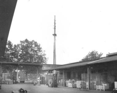 Il mercato dellortofrutta 