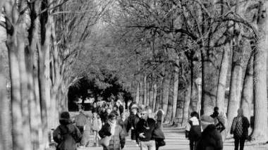 Le Mura urbane