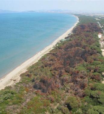 In causa da più di quarant'anni per un fazzoletto di terra