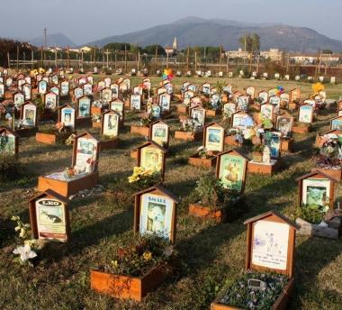 Il cimitero di via delle Miccine ospita un centinaio di lapidi di cani e gatti 