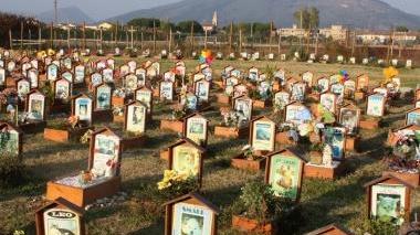 Il cimitero di via delle Miccine ospita un centinaio di lapidi di cani e gatti