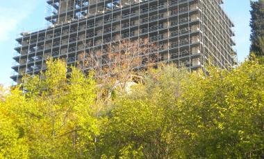 In autunno fioriscono i peri