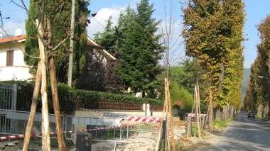 Lavori alla pista ciclabile lungo viale Diaz a Vicopisano