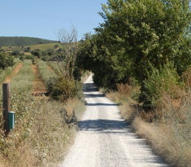 <strong>VIABILITÀ</strong> Una strada rurale
