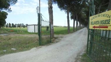 L’ingresso dell’azienda Insuese a Guasticce