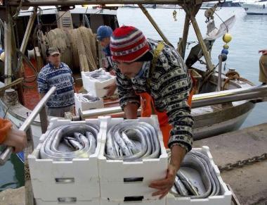 <b>IN MARE.</b> Pescatori al lavoro in un peschereccio 