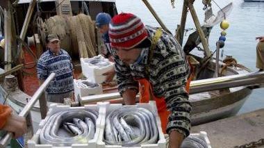 <b>IN MARE.</b> Pescatori al lavoro in un peschereccio