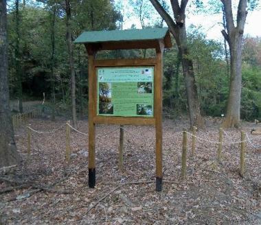 La nuova cartellonistica e lalbero monumentale 