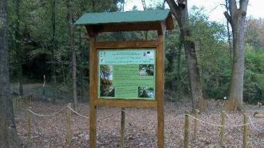 La nuova cartellonistica e l’albero monumentale