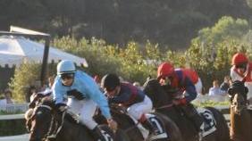 <b>IPPICA. </b>Una gara a San Rossore