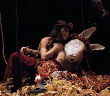 Una scena del Sogno di una notte di mezza estate   