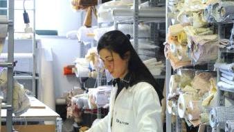 Il magazzino delle stoffe di una azienda di biancheria pistoiese