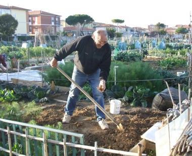 Un orto urbano 