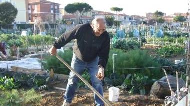 Un orto urbano