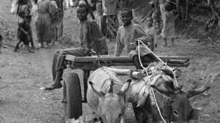 <b>L’ETIOPIA </b>in una foto scattata dall’équipe della società del presidente Cavanna