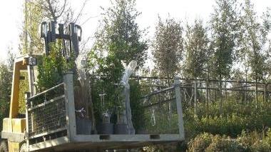 A lato e sotto due immagini di lavoro in aziende vivaistiche della Piana