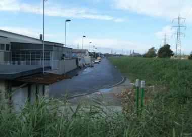 <b>UGIONE.</b> Pi&ugrave; alto largine rispetto alla strada in zona industriale 