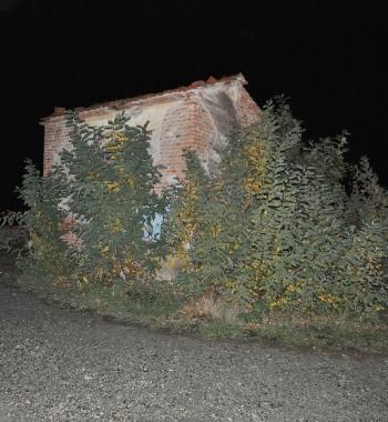 Larea in questione 